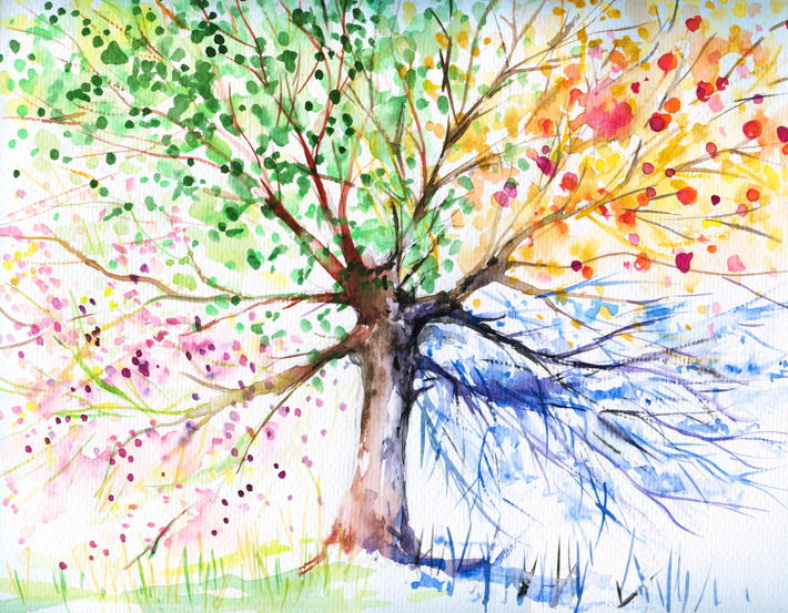 Hand painted illustration of a four season tree to illustrate the idea of change.